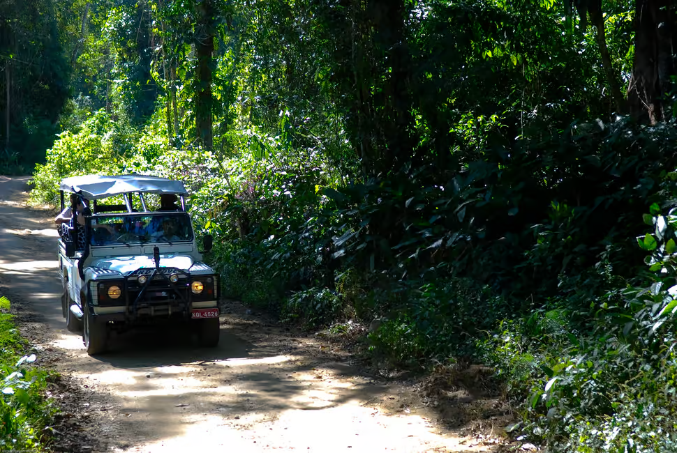 Jeep por Cascadas de la Selva y Destilería - Paraty