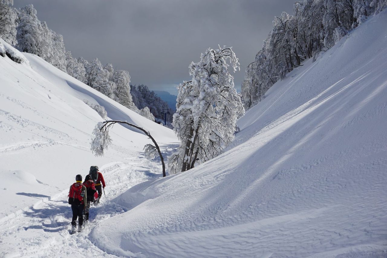 Cómo esquiar cerca de Santiago: Valle Nevado, La Parva y El Colorado
