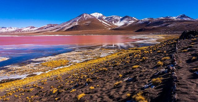 Uyuni in November 2026: when the rains start and whether the mirror is already there