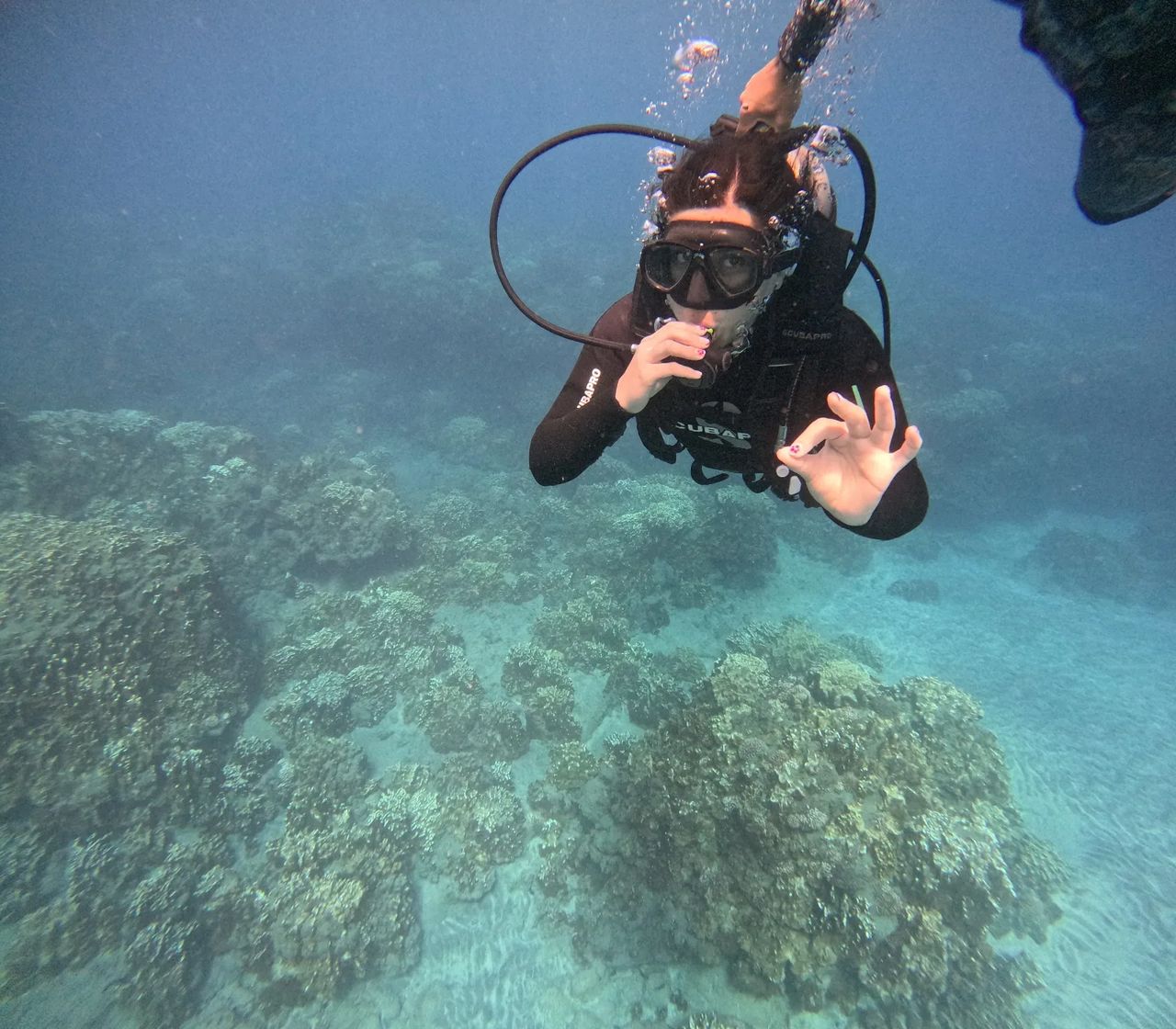 Snorkel e mergulho em Rapa Nui (Ilha de Páscoa): os 2 passeios em Los Motu, preços e o que inclui cada um (2026)