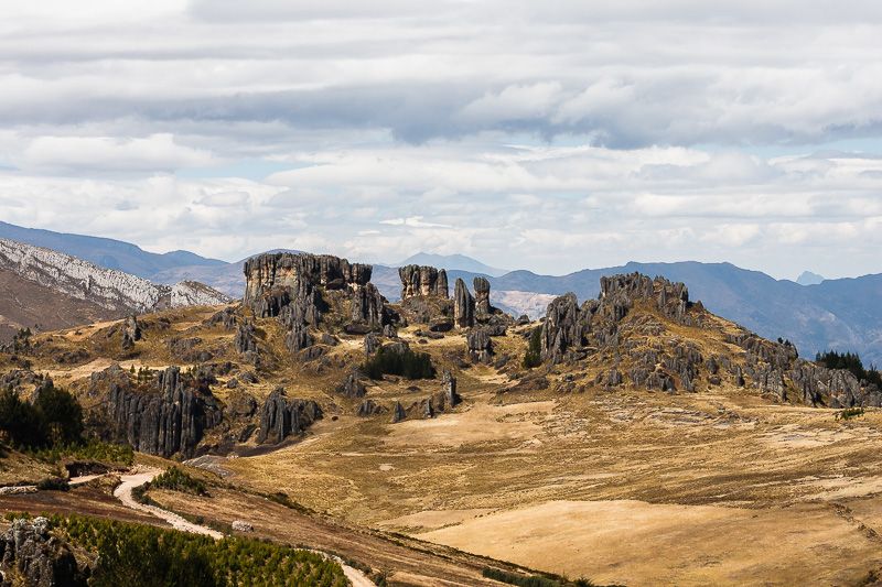 Cajamarca