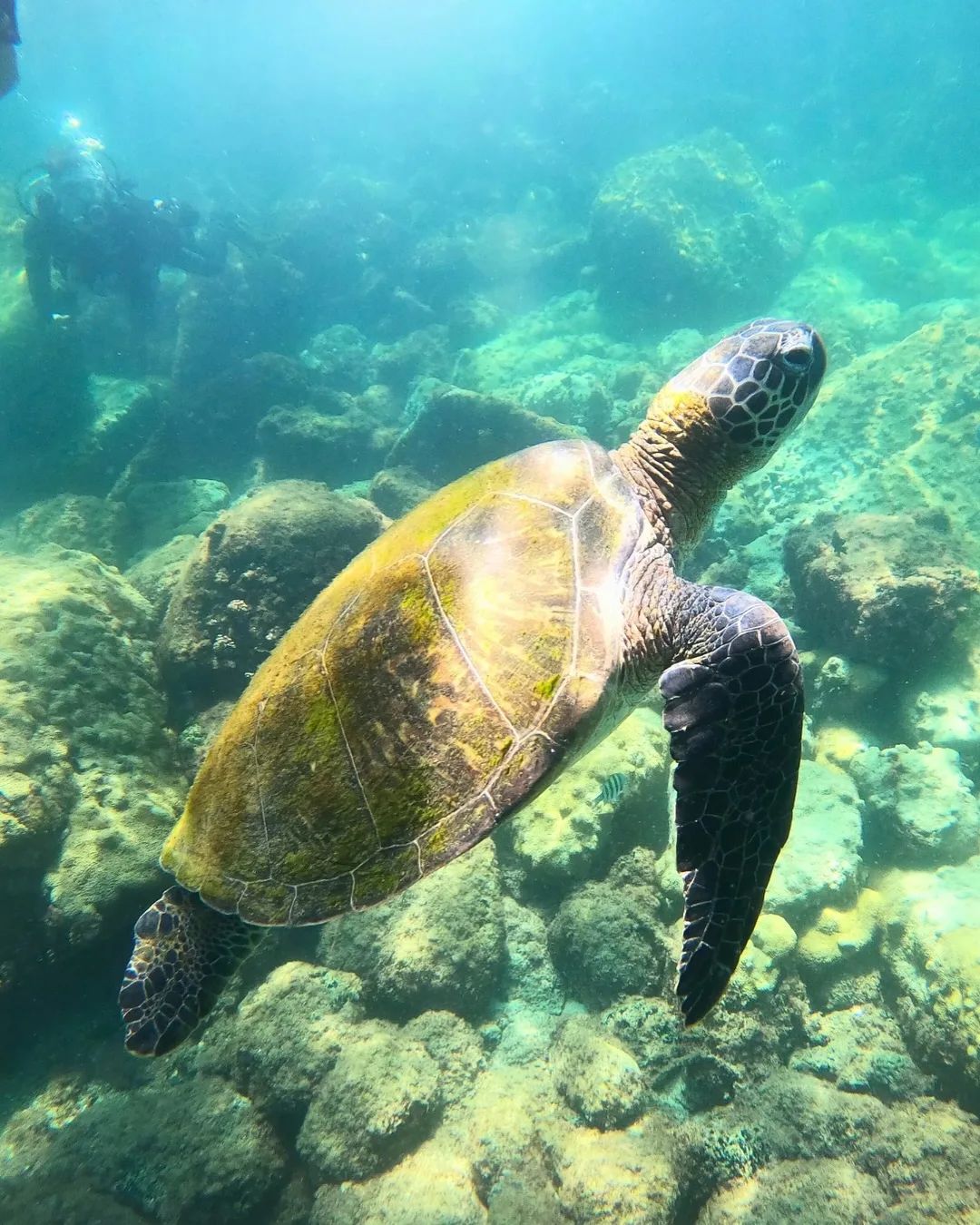 Arriendo de GoPro por día — Ilha Grande