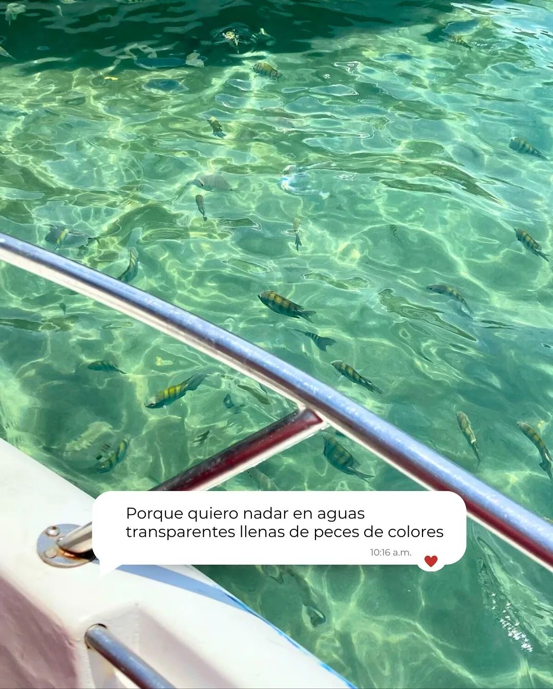 Super Lagoa Azul — Feiticeira, Grumixama y Japariz
