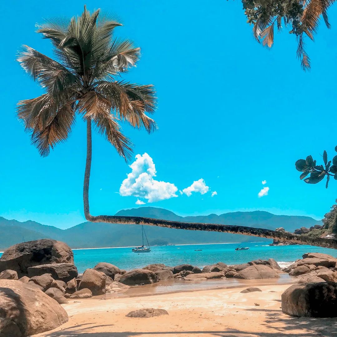 Vuelta completa a Ilha Grande — desde Abraão