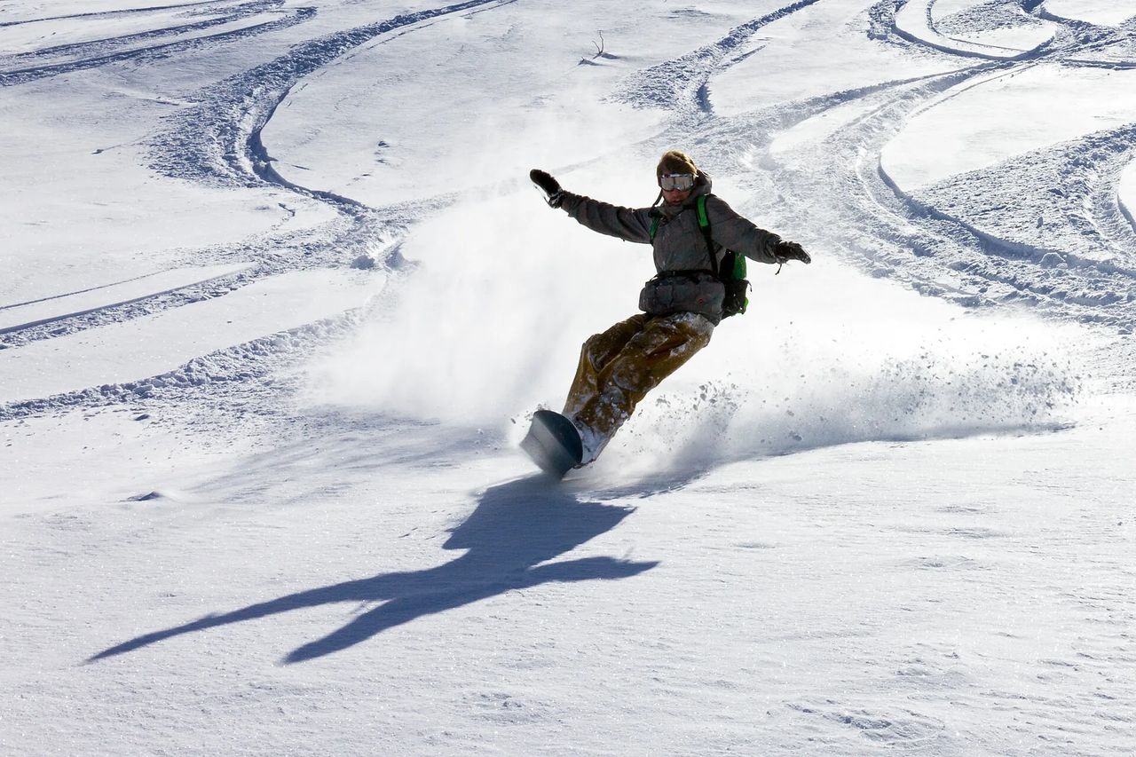 Valle Nevado Full Day