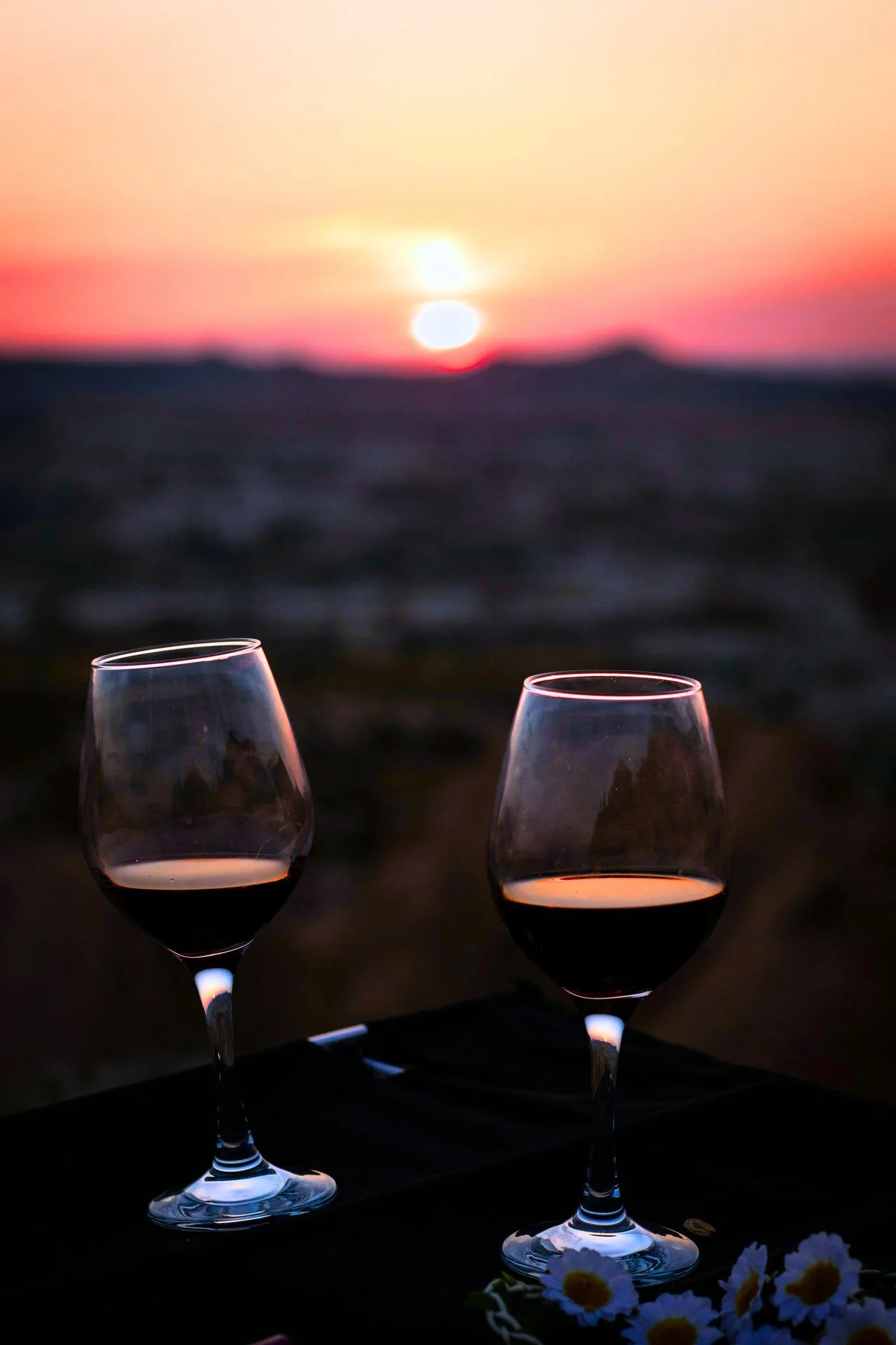 Viña Alyan Sunset (Valle del Maipo)