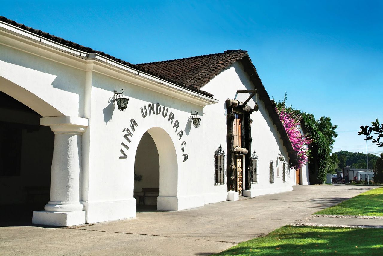 Viña Undurraga