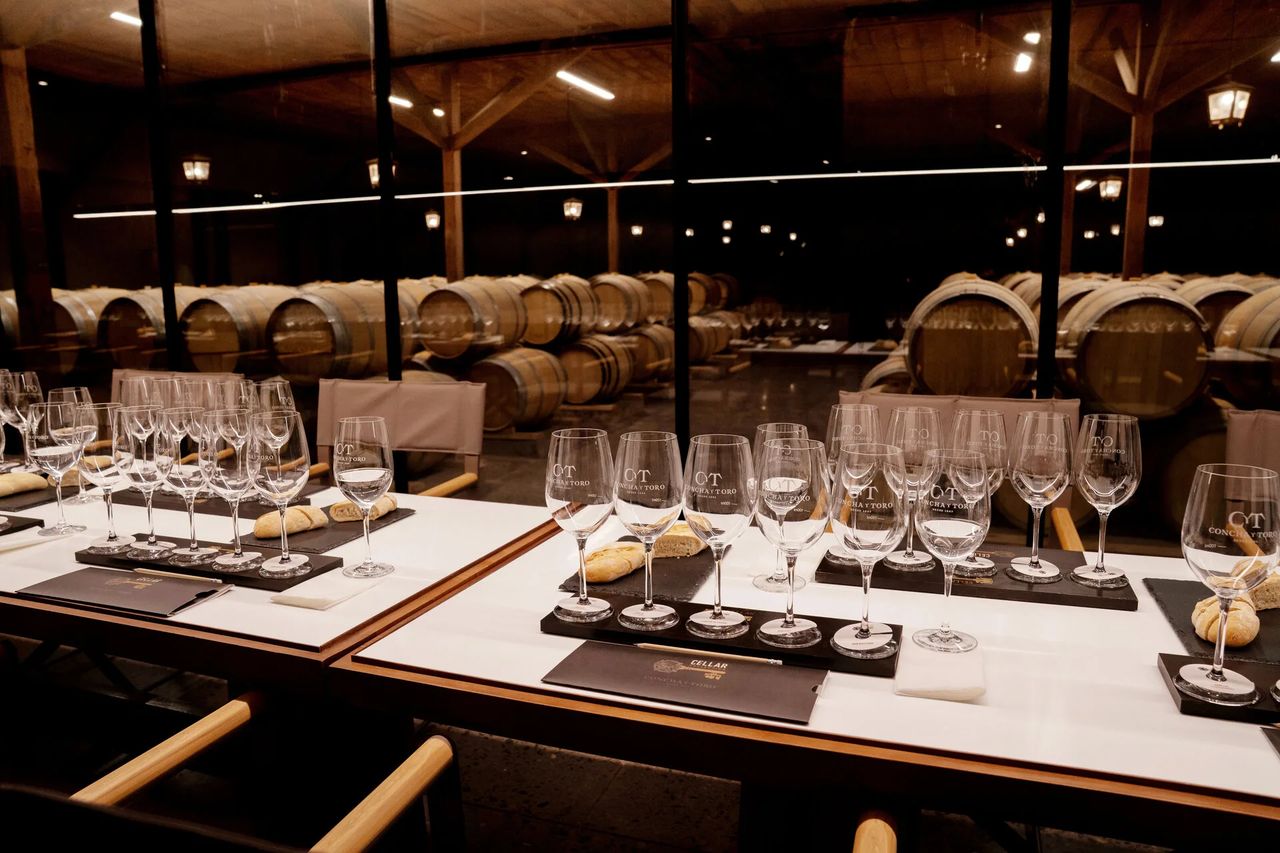 Tour del Marqués — Concha y Toro