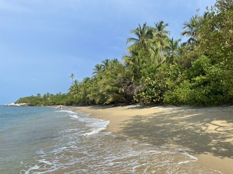 Happy Camping Arrecifes — Parque Tayrona