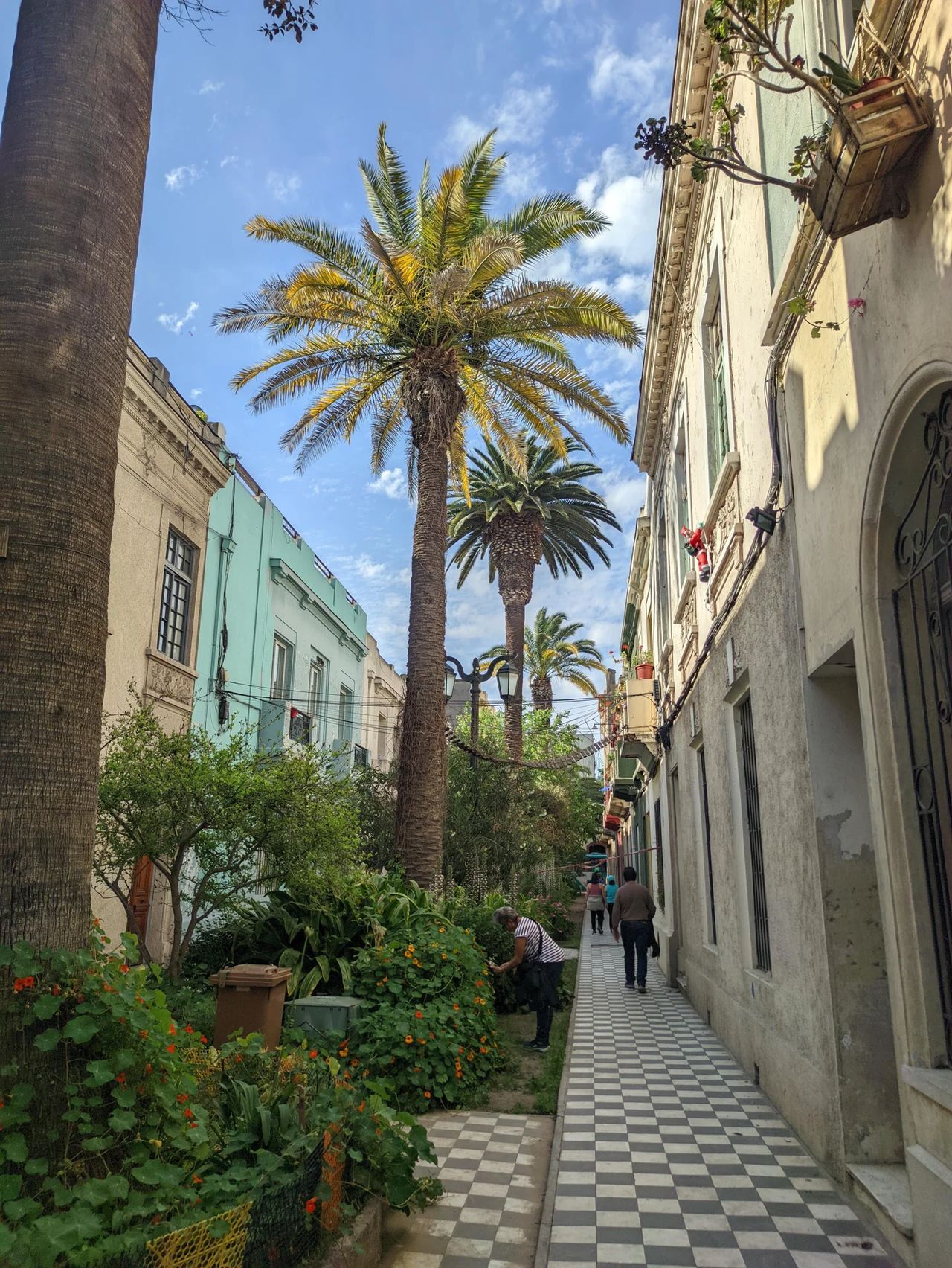 Free Tour Barrio Yungay