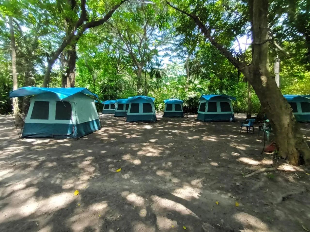 Carpa glamping doble — Happy Camping Arrecifes