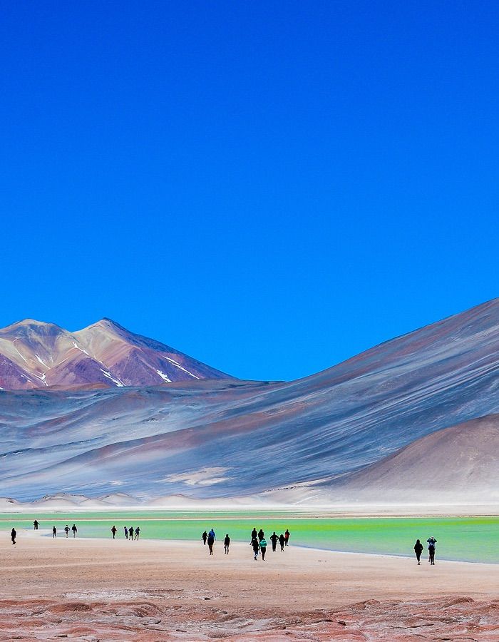 Tour Piedras Rojas y Lagunas Altiplánicas