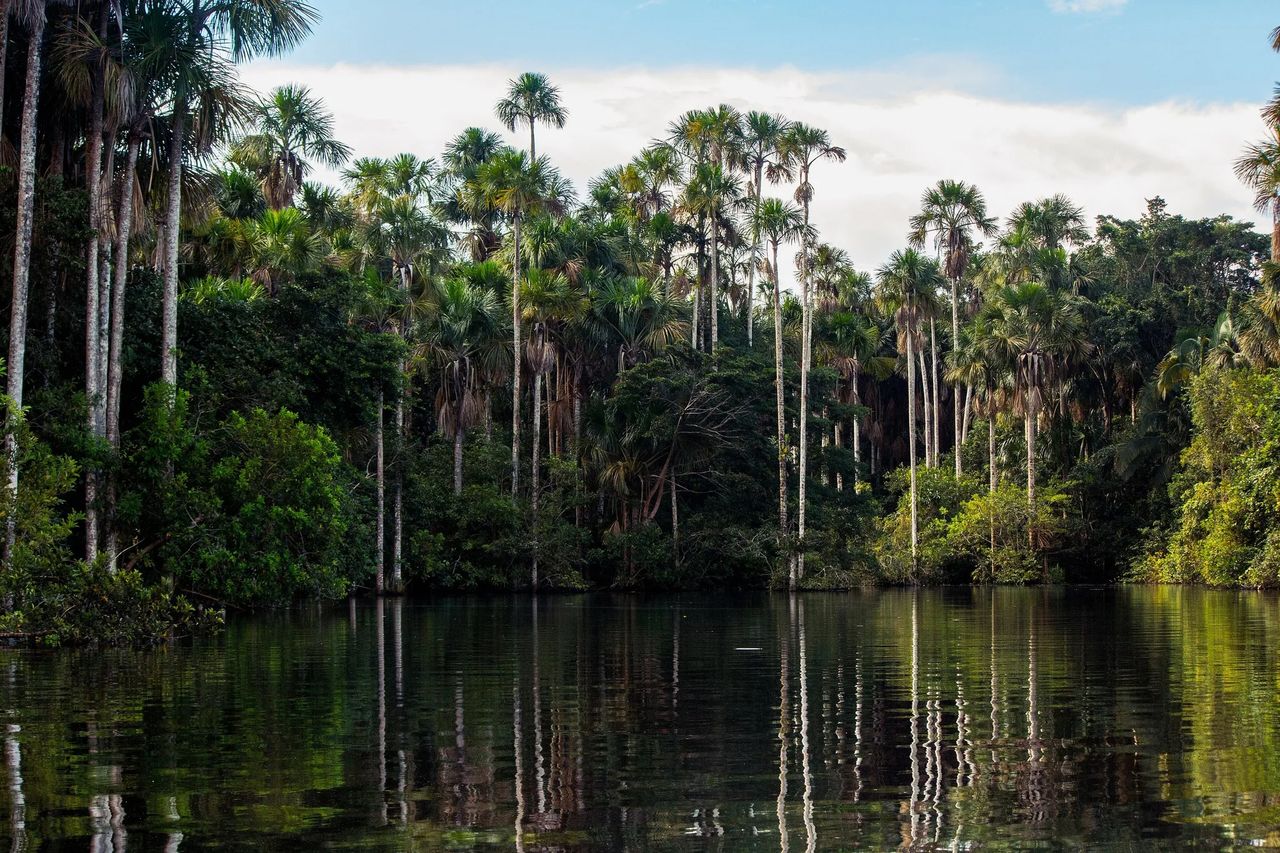 Reserva Nacional Tambopata — 4D/3N
