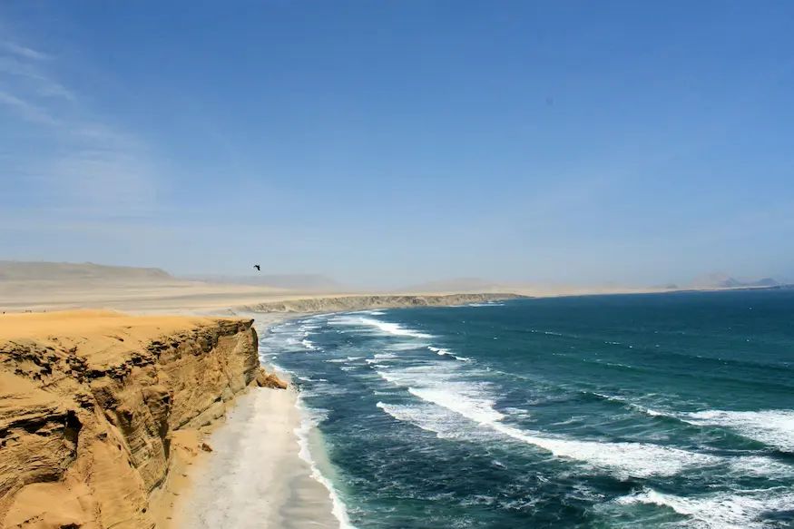 Paracas y Huacachina — Full day desde Lima