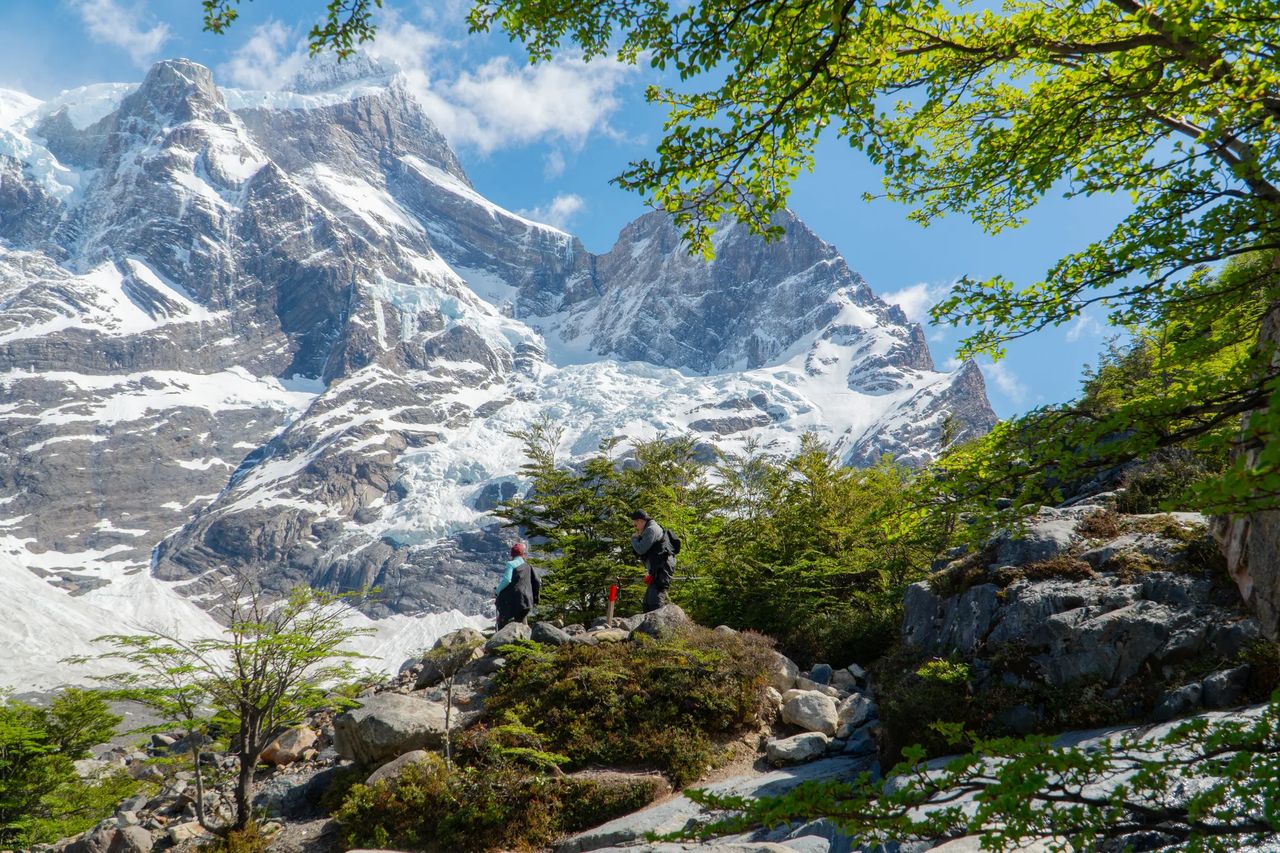 Torres del Paine: Trekking Mirador Valle del Francés (full day)