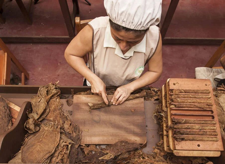 Los Tesoros Escondidos de Tarapoto - City, Chocolate, and Animal Tours