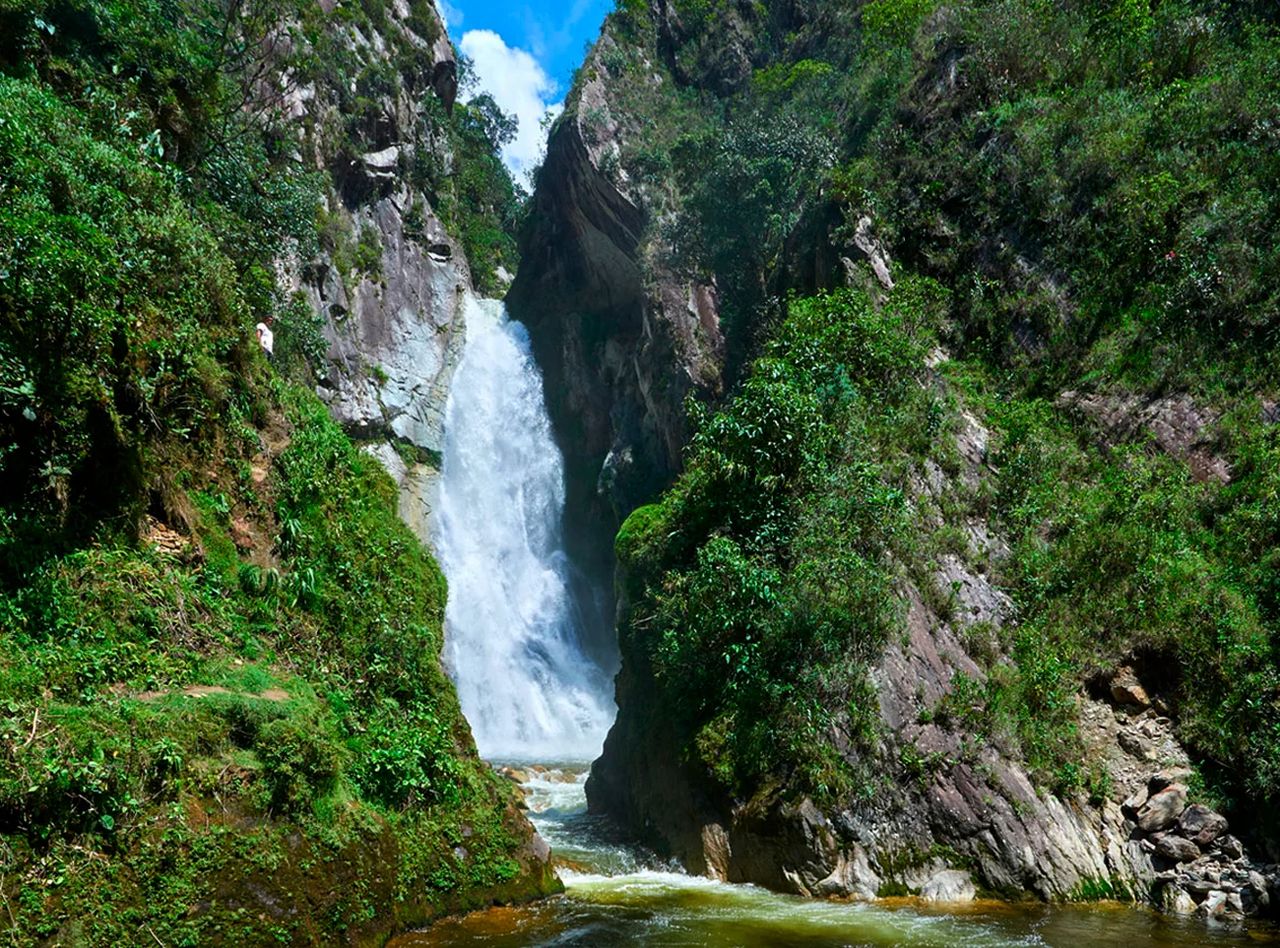 Expedición a Villa Rica - Descubrimiento de la cultura del café y la selva tropical