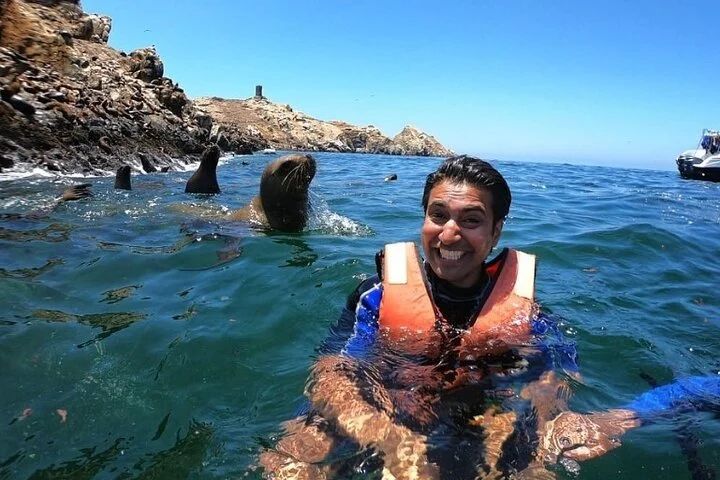 Nadar con leones marinos en las Islas Palomino Lima