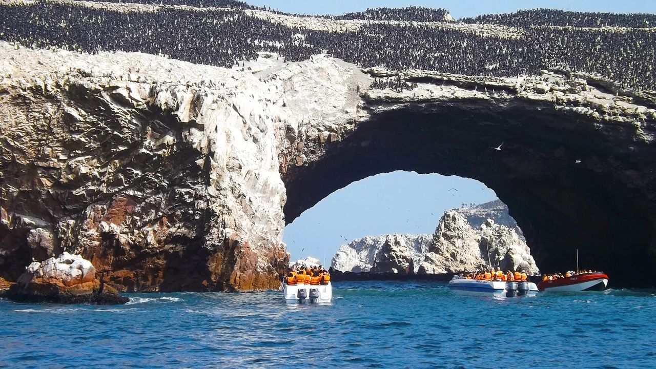 Los 13 tours de Paracas e Ica: Ballestas, dunas y qué tasas van en soles (2026)