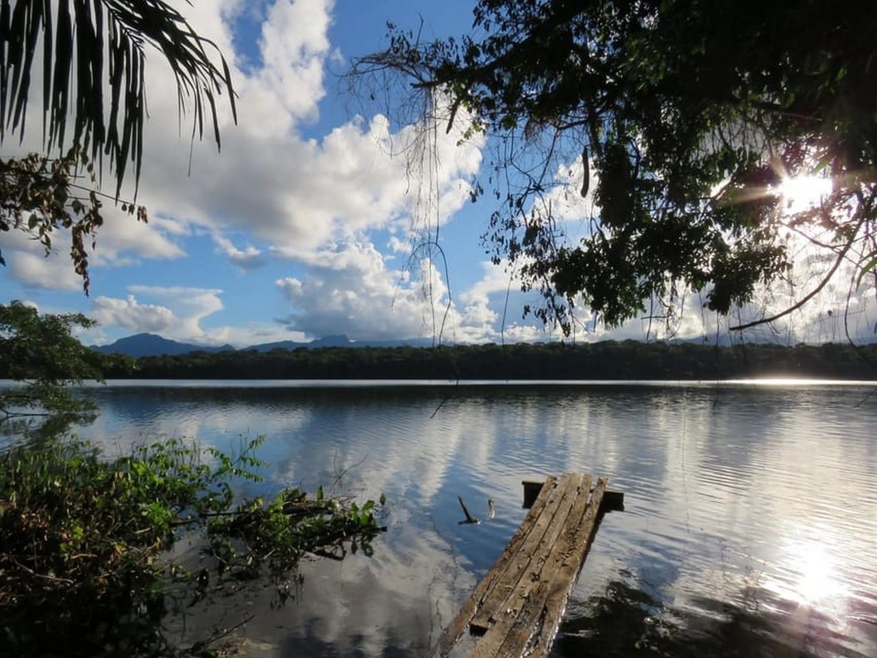 Rurrenabaque | Jungle & Pampas 5D/4N: Exploring the Wild of the Amazon Forest