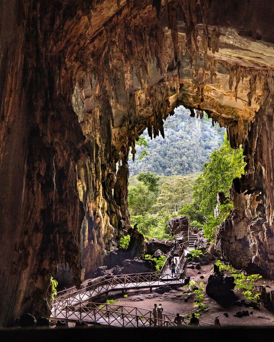 Aventura en la oscuridad: expedición a la Cueva Lechuza y a Santa Carmen